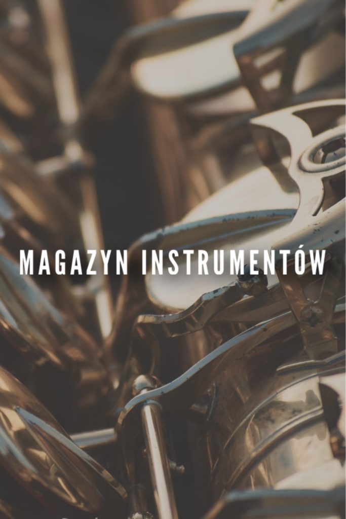Miniatura wpisu: magazyn instrumentów